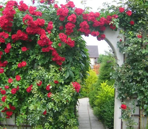 Lägenhet Bellavilla Vilnius