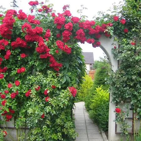 Butas Bellavilla Vilnius