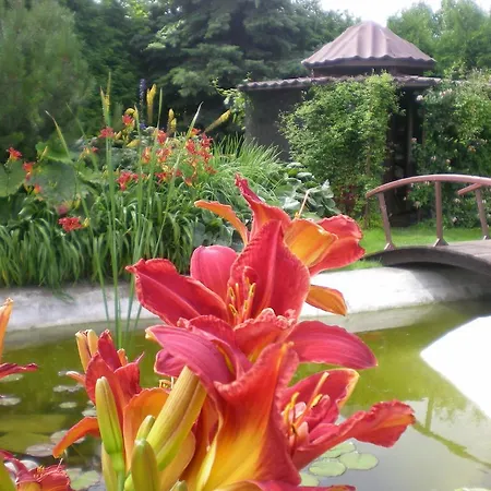 Bellavilla